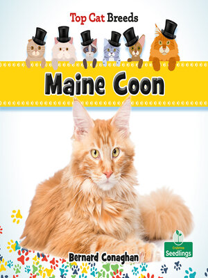 cover image of Maine Coon